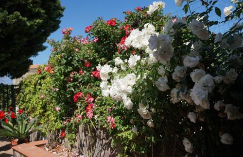 Residence San Salvatore - Foto 35