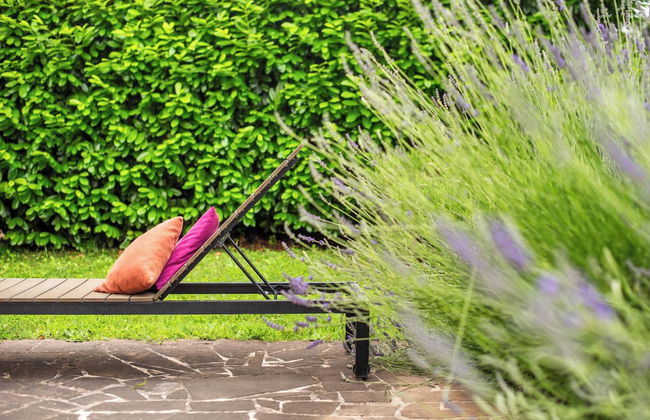 Superior Apartment With Terrace - Photo 37