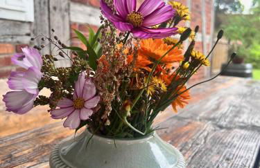 Wendlandhof Lüggau - Foto 64