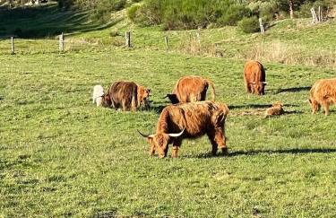 La Pastourelle en Lozère - Foto 45