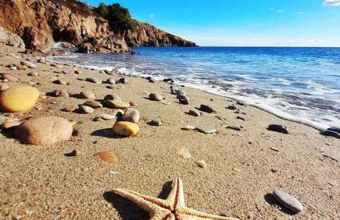 Maison cosy entre mer et garrigue - Foto 24