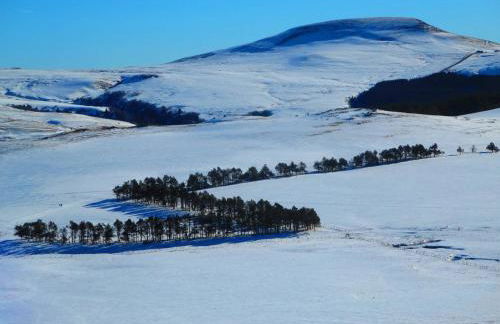 L'Esprit du Bois - Foto 14