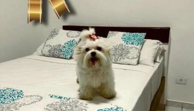 Recanto Do Sol Bertioga - Photo 3