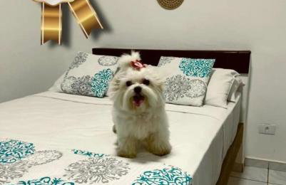 Recanto Do Sol Bertioga - Foto 3