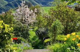 Ferienwohnung Pfalzblick - Photo 3