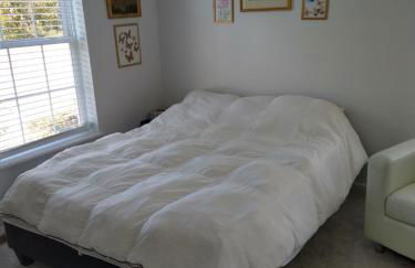 Family Friendly JUST LIKE HOME - Photo 5