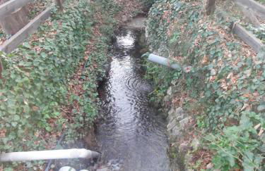 El Molino de las Palomas - Foto 80