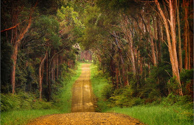 King Island Accommodation Cottages - Photo 46