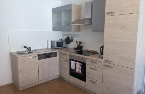 Monteurunterkunft Windischeschenbach by HausGruenerBaum - Photo 21