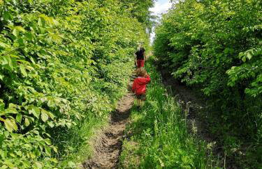 Grzybowo Dom wakacyjny - Foto 36