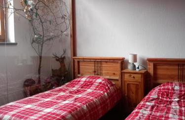 The Green Owl - Foto 21