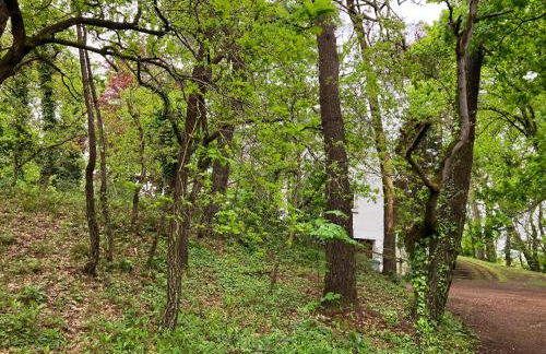 VILLA LE TOUQUET EN FORET - Foto 40