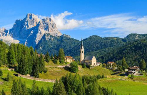 Petit Arnica - Foto 17