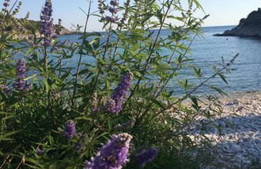 Apartmani Harmonija - Foto 15