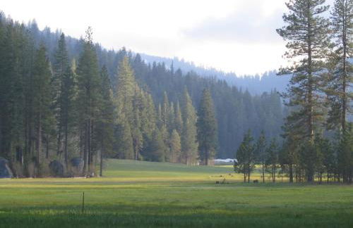 Fivespot Cabin - Foto 49