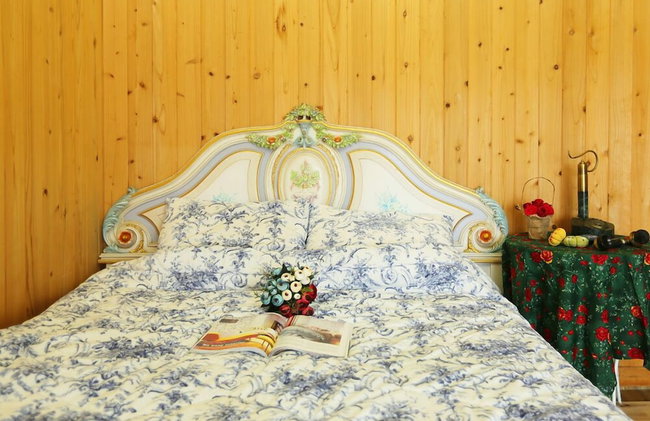 Matryoshka Pension - Foto 12
