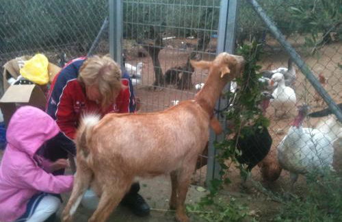 Casa Rural Andrea - Foto 43