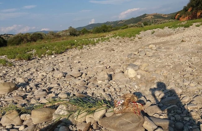 House, Villa - Polveraia, Scansano, Grosseto - Foto 18