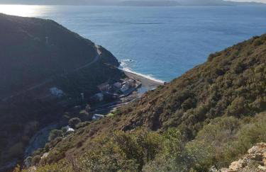 Cap Corse - Grande maison au bord de mer - PMR - Foto 17