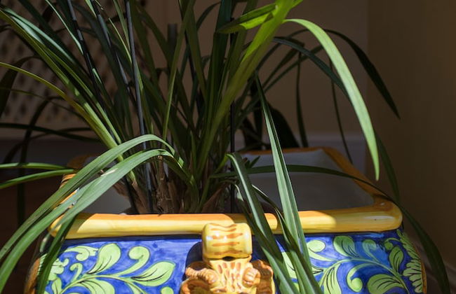 Ilary House - Foto 53