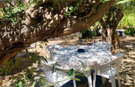 Casa dell'Olio - Al Baglio - Foto 3