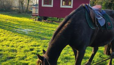 Les roulottes du Moulin de Palet - Foto 3, Garden view