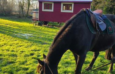 Les roulottes du Moulin de Palet - Photo 3
