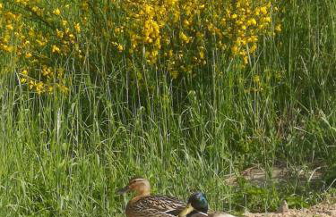 Apartamenty nad morzem Przy Klifie 2 Dębina - Foto 80