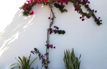 Olas de Conil - Foto 32