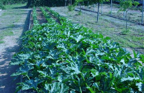 Fondo Brugarolo B&B - Foto 32