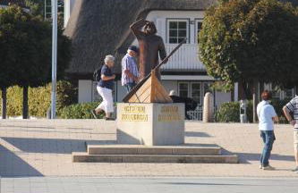 Silbermöwe im Kirschgarten - Foto 51