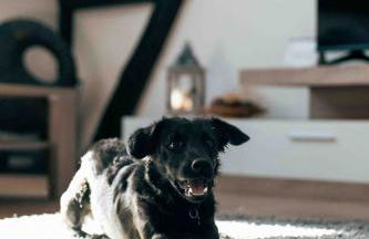 Auszeit im Rheingau - Foto 28