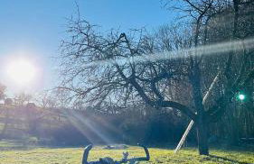 Appartments - Stromberg & Zabergäu - Foto 28