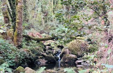 Chulavista House by Kev - Foto 53