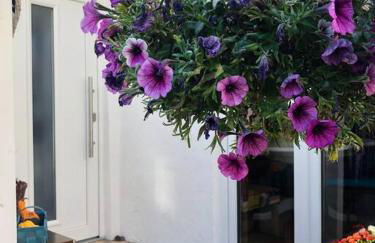 Traumhafte Maisonette-Wohnung im Schwarzwald - Foto 27