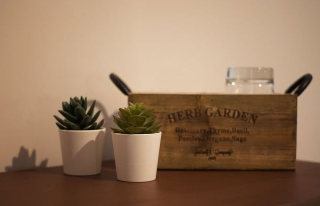 6thLand - Rent Rooms La Spezia - Photo 69