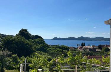 Family apartments Dominković - Photo 27