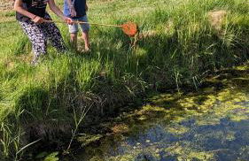 "Balmgarten" im Naturpark Usedom, Bio Solarhaus mit großem Garten - Foto 78