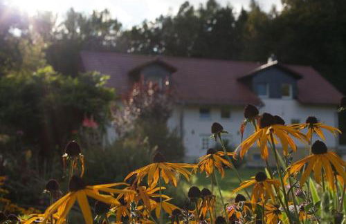 Wald-Apartment - Foto 46