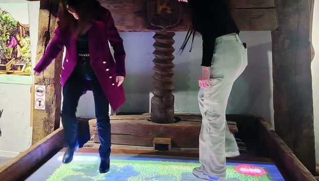 Alsace Wine Museum Tickets - Foto 2