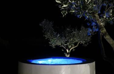 San Giovanni In Poggio - Foto 4