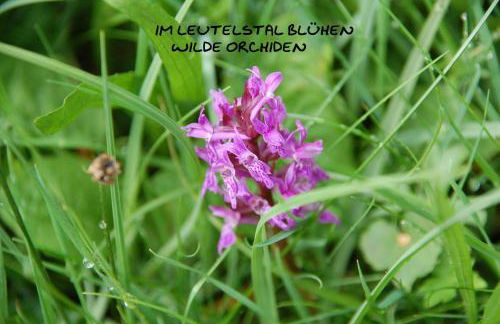 Ferienwohnung Reifberg - Photo 32