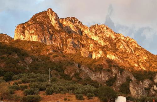 La Gabbianella - Locazione turistica - Foto 5