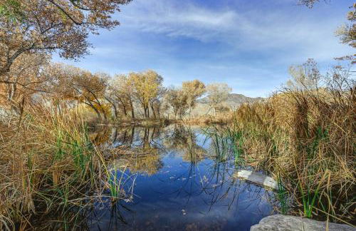 Mtn-View Weldon Home Walk to Pacific Crest Trail - Foto 20