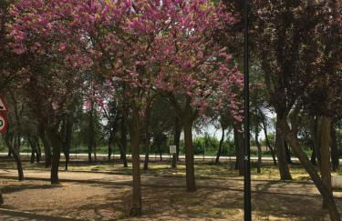 Amor Sin Fin - Foto 52