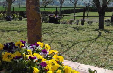 Silos Torrenova - Foto 8