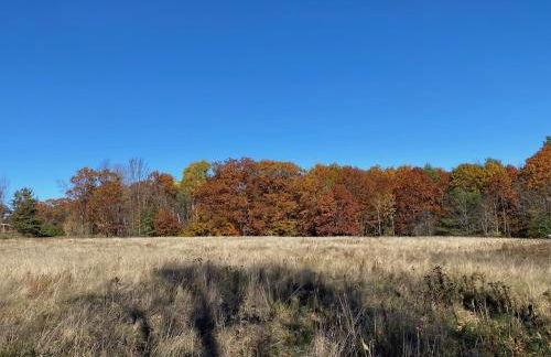 Not-so-tiny, Tranquil, Pond front Bungalow - Foto 9