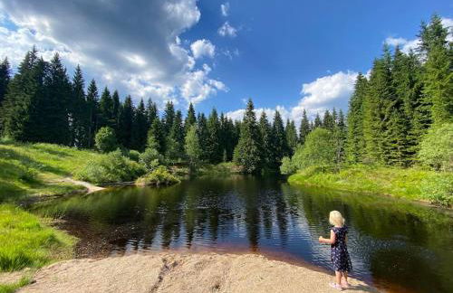 The Bridge - between NewZealand & OreMountains - Foto 36