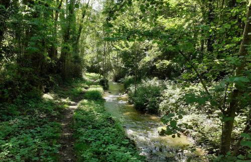 Le chant de la rivière - Foto 20
