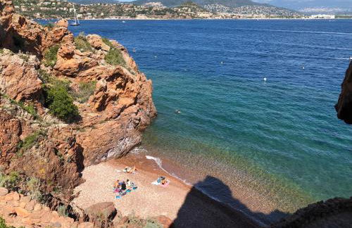 2P 40m2 -Cannes centre- Palais des festivals - - Photo 9